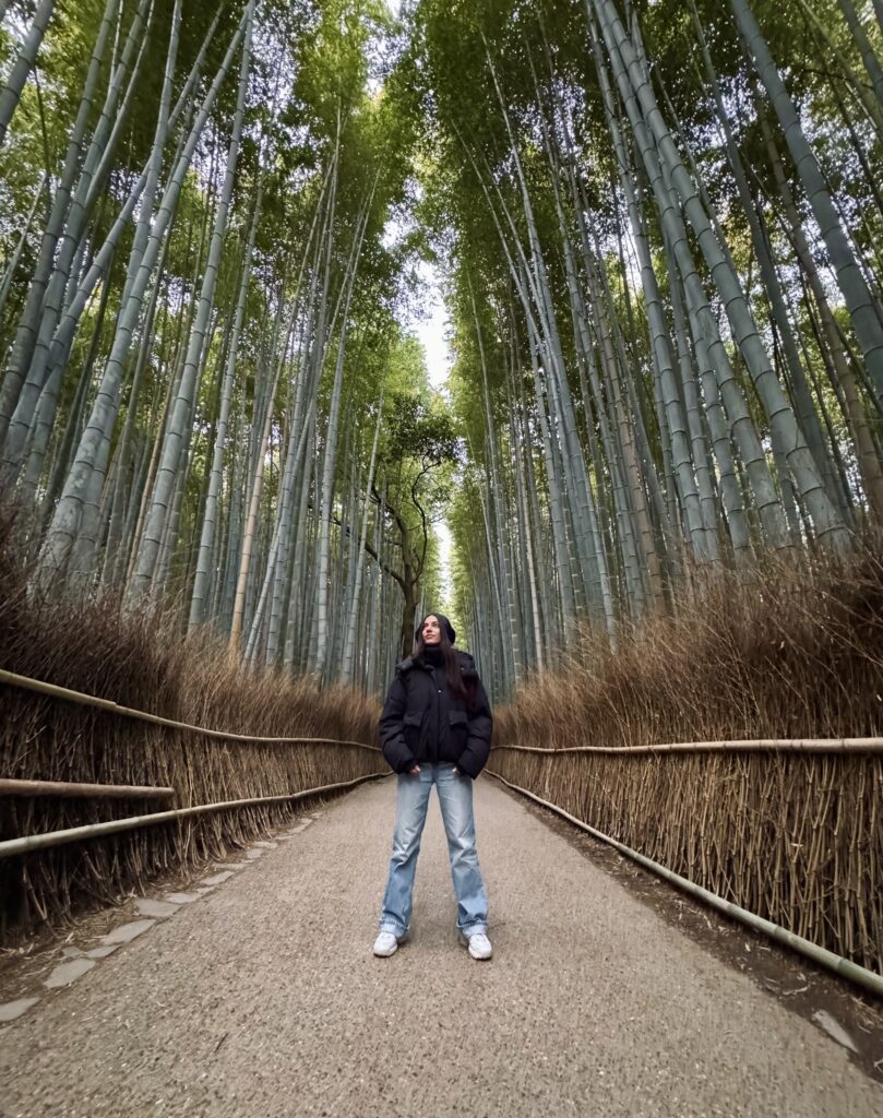 Arashiyama japón